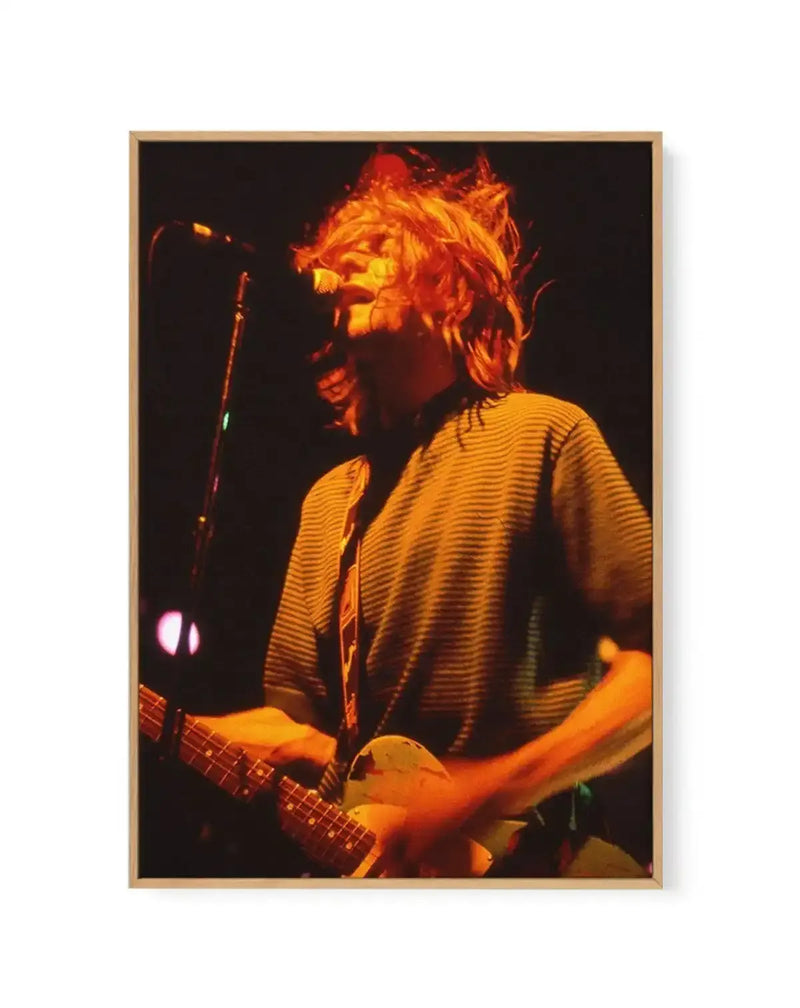 Framed canvas art print featuring a concert photograph with warm golden and orange stage lighting. A musician with shoulder-length blonde hair plays an electric guitar while singing into a microphone, wearing a horizontally-striped yellow and dark-colored long-sleeved shirt. The dark background emphasizes the dramatic stage lighting that illuminates the subject. The photograph is mounted in a natural wood frame with a white border, creating a gallery-style presentation.