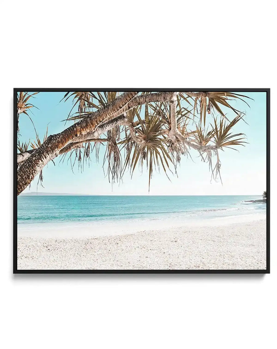 Framed canvas art print titled Noosa Days LS featuring a tropical beach scene. A gnarled palm tree branch with textured bark and feathery fronds extends from the upper left, creating a natural frame. Below, a white sandy beach stretches toward turquoise ocean water under a clear blue sky. The photograph has warm, sun-drenched tones with soft natural lighting. The canvas is mounted in a black frame with a white border.