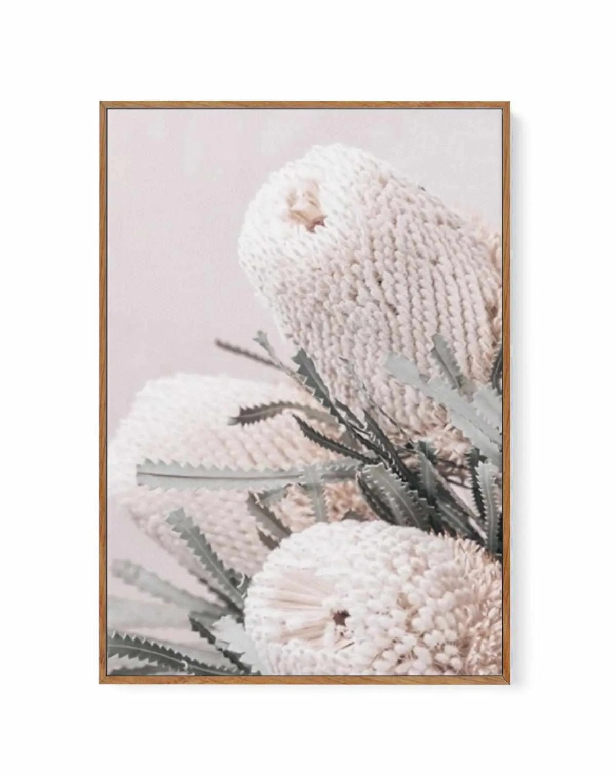 Nude Banksia I | Framed Canvas from Olive et Oriel where you can shop wallpaper and artworks online