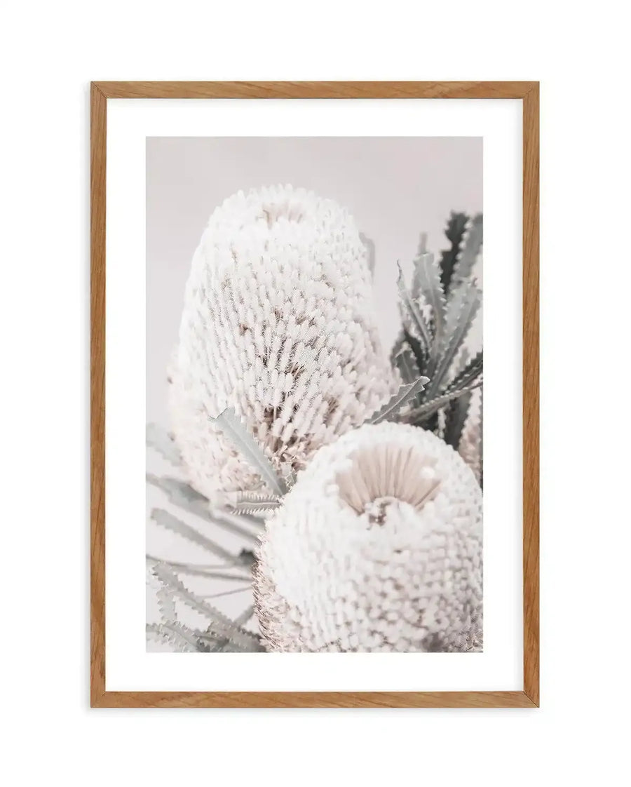 Framed art print featuring a close-up photograph of two delicate banksia flowers with cream and pale blush tones, their cone-shaped blooms densely packed with fine, hair-like stamens creating intricate texture. Soft green foliage visible in the blurred background. Natural wood frame with white border surrounding the vertical portrait-oriented image against a neutral beige backdrop.