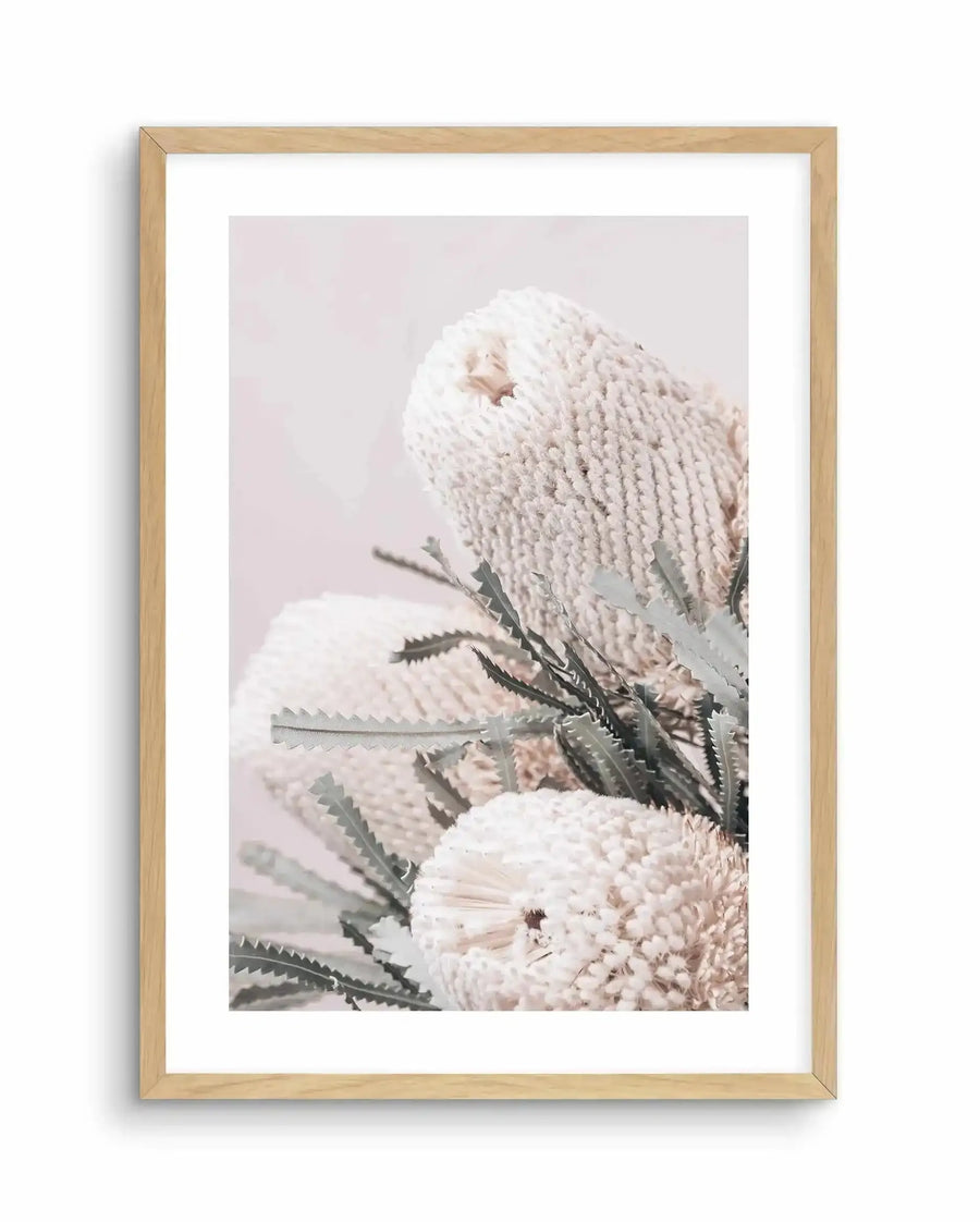 Framed art print featuring three pale blush-pink Banksia flowers with densely textured, rounded blooms against a soft, muted background. Dark green serrated leaves accent the composition. Natural wood frame with white border surrounding the botanical photograph-style image.