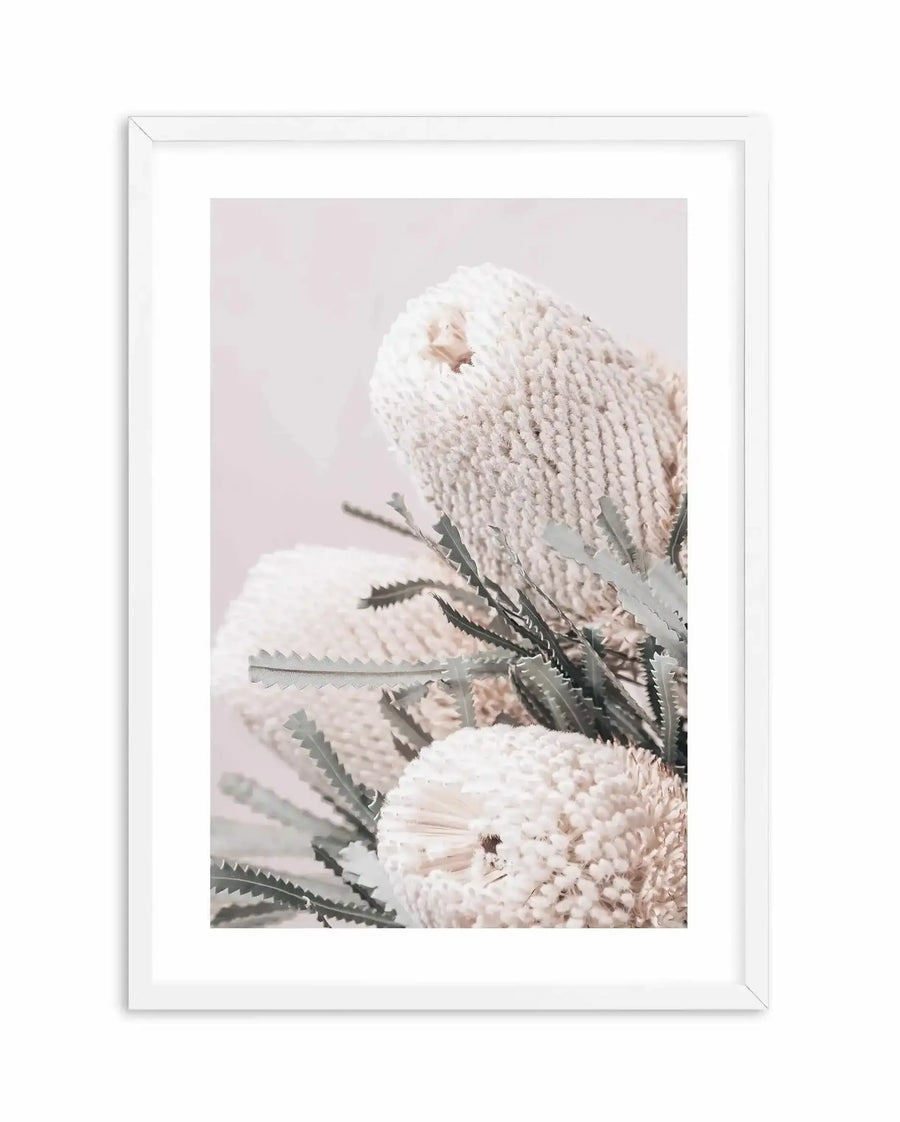 Framed art print featuring a close-up photograph of cream and blush pink Banksia flowers with delicate, layered petals against a soft, muted background. Dark green serrated leaves are visible between the blooms. The photograph has a soft, botanical quality with natural lighting. The print is displayed in a white wooden frame with a white border.