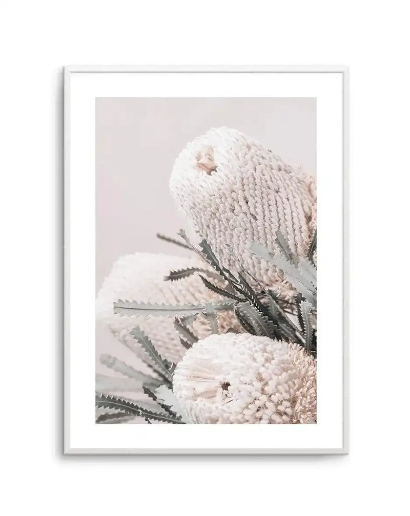 Framed art print featuring a close-up photograph of cream and blush pink Banksia flowers with textured, layered petals against a soft, pale background. Green serrated leaves are visible among the blooms. The image has a soft, botanical photography style with delicate, muted tones. The print is displayed in a white frame with a white border.