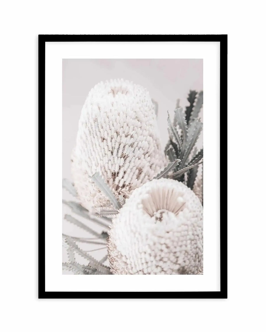 Framed art print featuring a close-up photograph of cream and white Banksia flowers with delicate, intricate stamens in soft focus. The blooms display feathery, needle-like structures in pale beige and ivory tones against a muted, dusty rose background. Green foliage is visible on the right side. The photograph has a soft, botanical quality with subtle texture and gentle lighting. Presented in a black frame with white border.