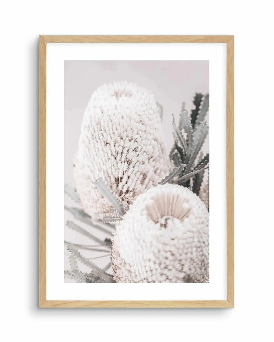Framed art print featuring a close-up photograph of cream and blush-toned Banksia flowers with delicate, textured petals and fine needle-like stamens. Soft green foliage visible in the background. Natural light, pale pink and gray tones create a serene, botanical aesthetic. Print displayed in a natural wood frame with white border.