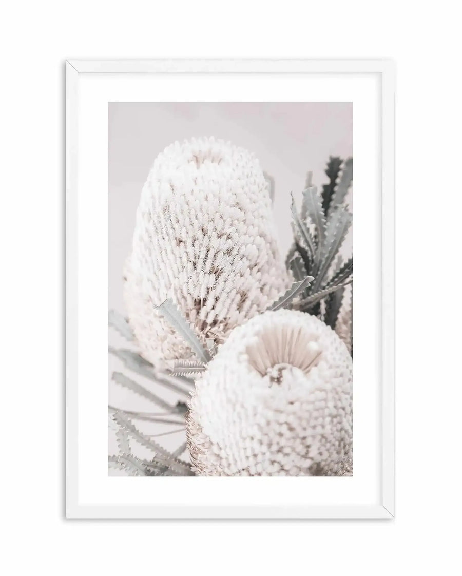Framed art print displaying a close-up photograph of cream and white Banksia flowers with delicate, needle-like petals arranged in elongated cone shapes. Soft gray-green foliage visible in the background. The image has a pale, neutral color palette with warm beige and dusty rose undertones. Presented in a white wooden frame with white border against a soft, muted background.