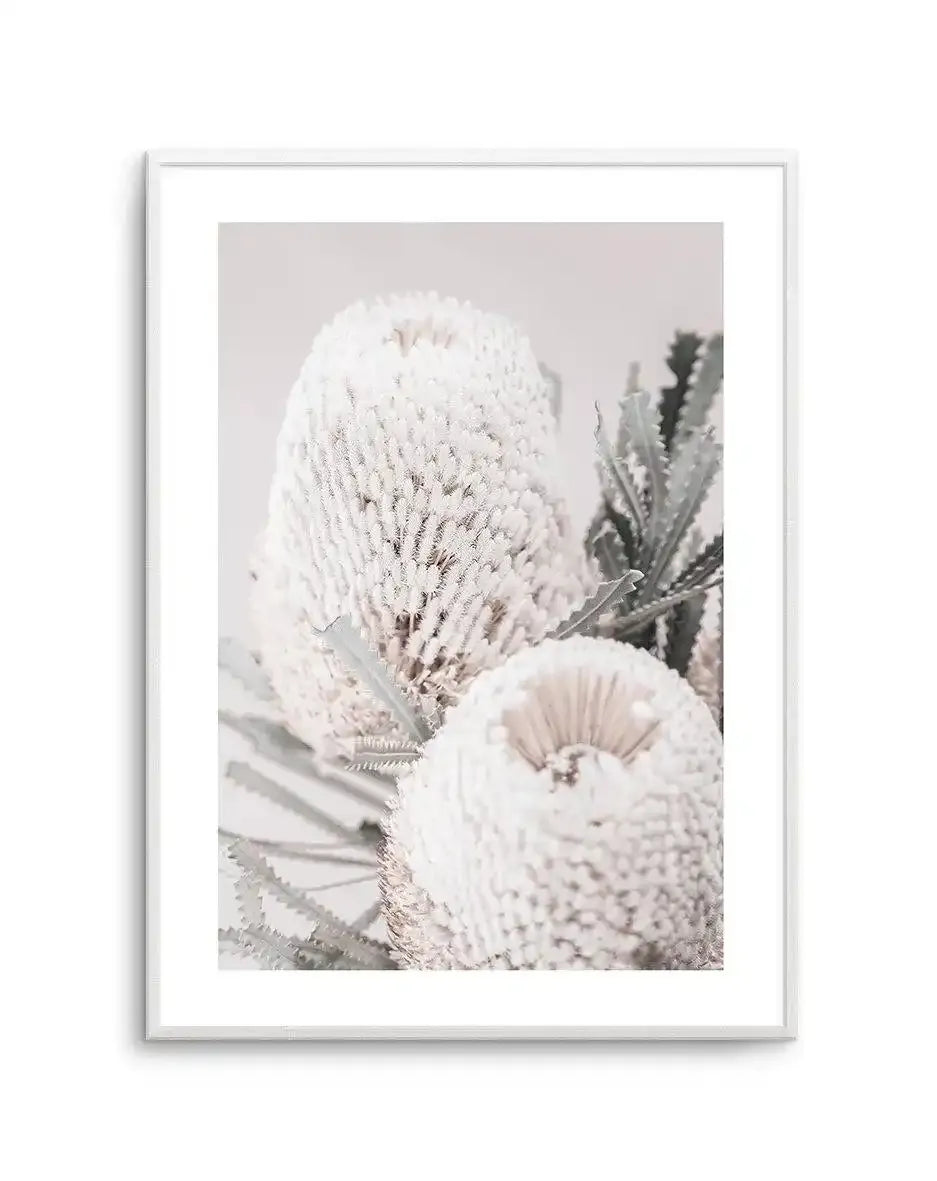 Nude Banksia II Art Print-PRINT-Olive et Oriel-Olive et Oriel-A4 | 8.3" x 11.7" | 21 x 29.7cm-Unframed Art Print-With White Border-Buy-Australian-Art-Prints-Online-with-Olive-et-Oriel-Your-Artwork-Specialists-Austrailia-Decorate-With-Coastal-Photo-Wall-Art-Prints-From-Our-Beach-House-Artwork-Collection-Fine-Poster-and-Framed-Artwork