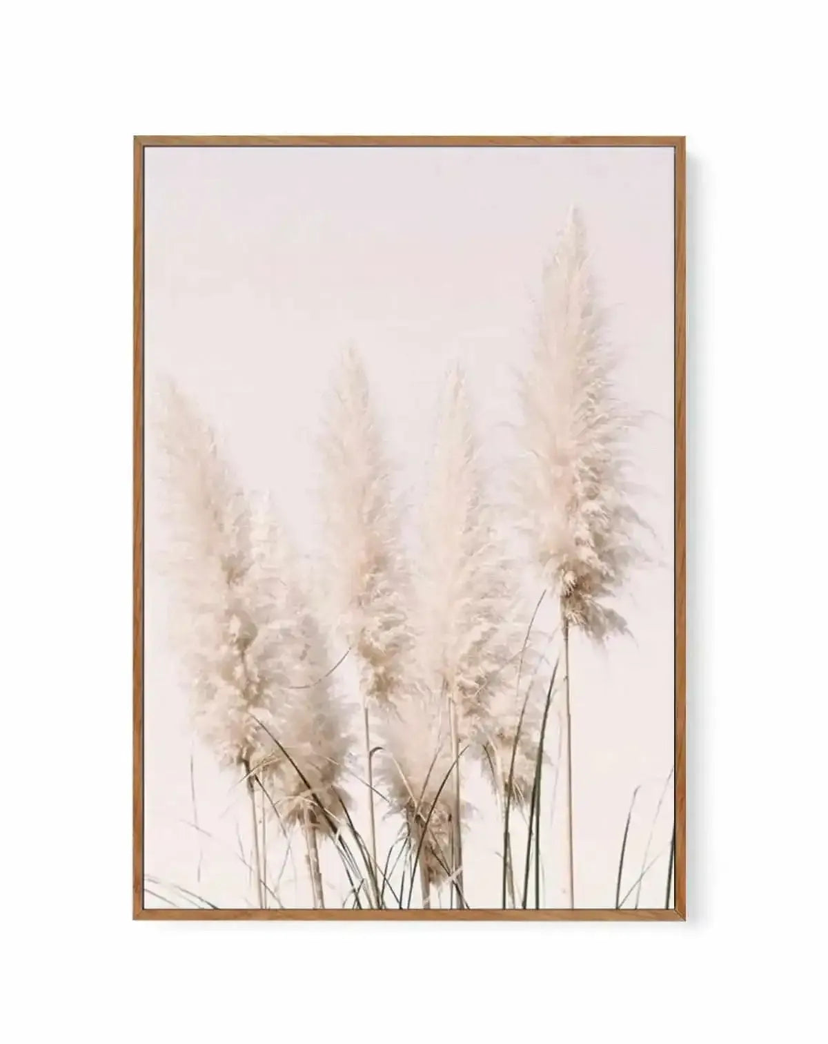 Nude Pampas I | Framed Canvas Art Print from Olive et Oriel where you can shop wallpaper and artworks online