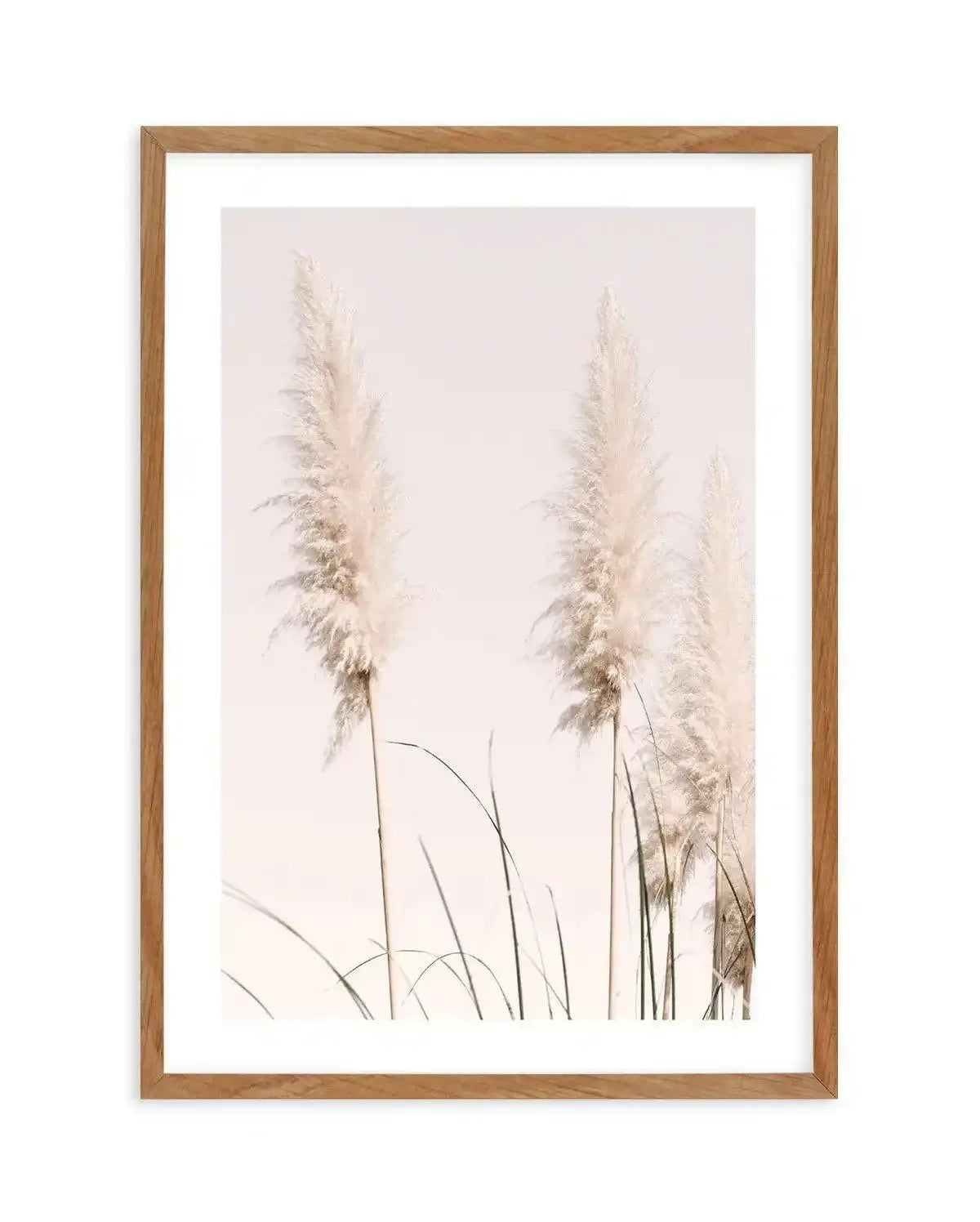 Nude Pampas II Art Print-PRINT-Olive et Oriel-Olive et Oriel-50x70 cm | 19.6" x 27.5"-Walnut-With White Border-Buy-Australian-Art-Prints-Online-with-Olive-et-Oriel-Your-Artwork-Specialists-Austrailia-Decorate-With-Coastal-Photo-Wall-Art-Prints-From-Our-Beach-House-Artwork-Collection-Fine-Poster-and-Framed-Artwork