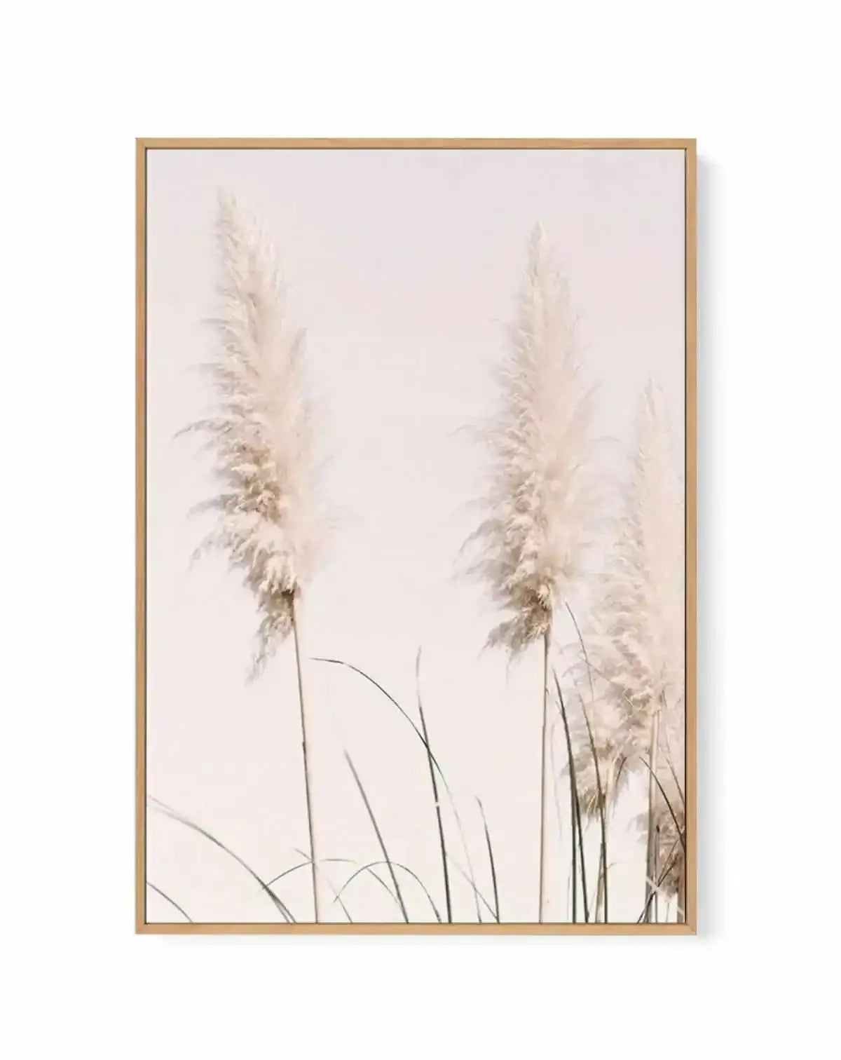 Nude Pampas II | Framed Canvas Art Print from Olive et Oriel where you can shop wallpaper and artworks online