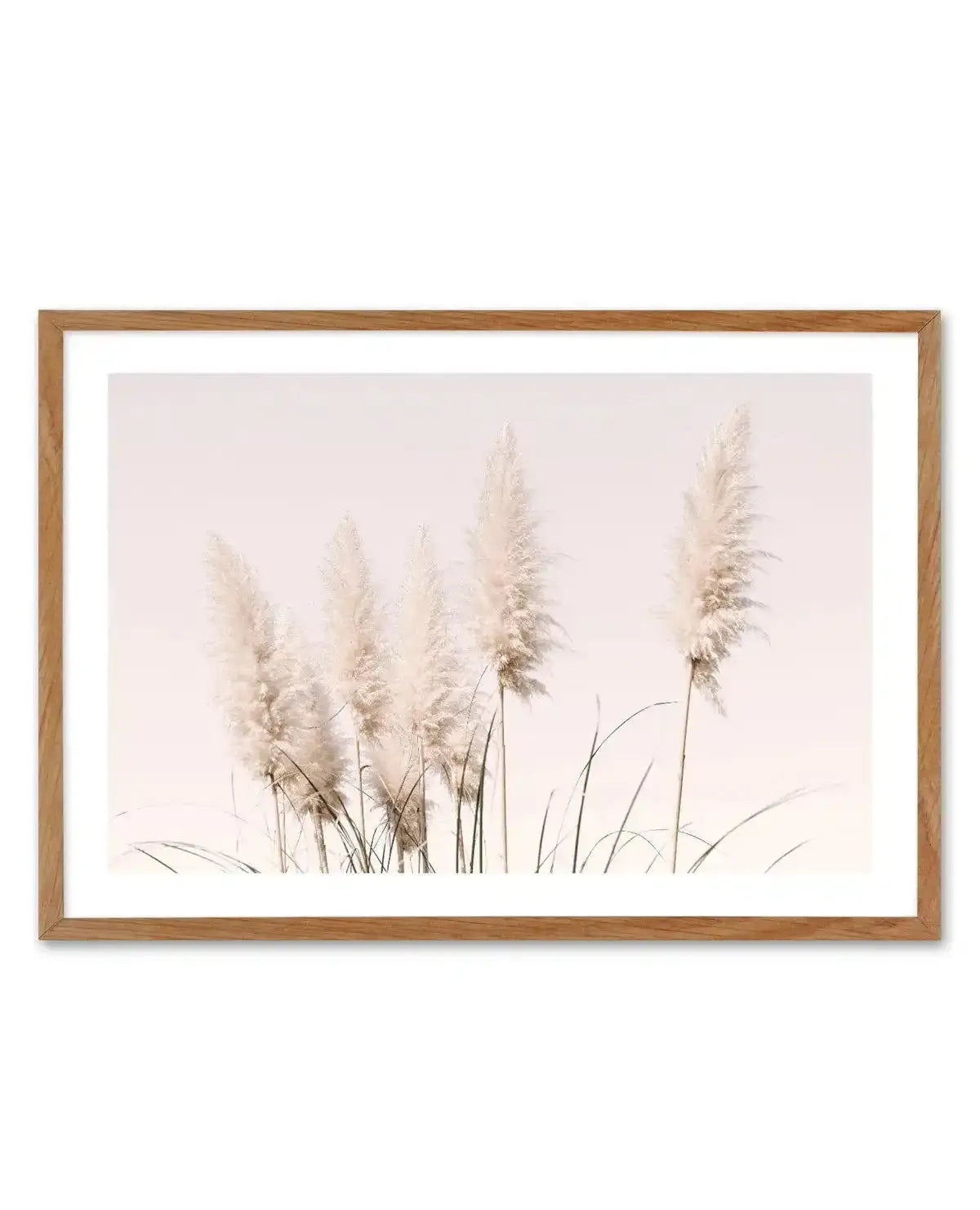 Nude Pampas | LS Art Print-PRINT-Olive et Oriel-Olive et Oriel-50x70 cm | 19.6" x 27.5"-Walnut-With White Border-Buy-Australian-Art-Prints-Online-with-Olive-et-Oriel-Your-Artwork-Specialists-Austrailia-Decorate-With-Coastal-Photo-Wall-Art-Prints-From-Our-Beach-House-Artwork-Collection-Fine-Poster-and-Framed-Artwork