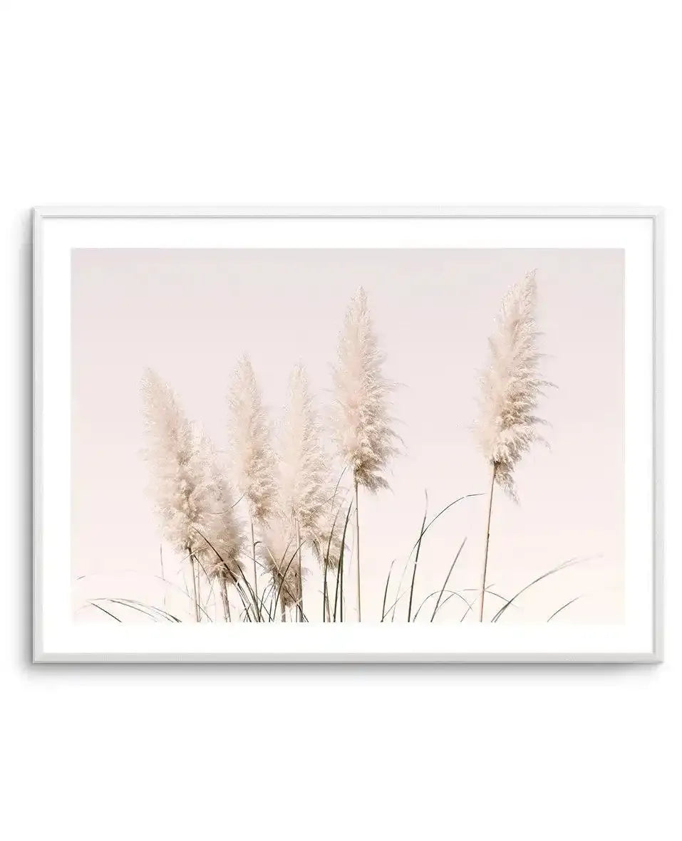 Nude Pampas | LS Art Print-PRINT-Olive et Oriel-Olive et Oriel-A4 | 8.3" x 11.7" | 21 x 29.7cm-Unframed Art Print-With White Border-Buy-Australian-Art-Prints-Online-with-Olive-et-Oriel-Your-Artwork-Specialists-Austrailia-Decorate-With-Coastal-Photo-Wall-Art-Prints-From-Our-Beach-House-Artwork-Collection-Fine-Poster-and-Framed-Artwork