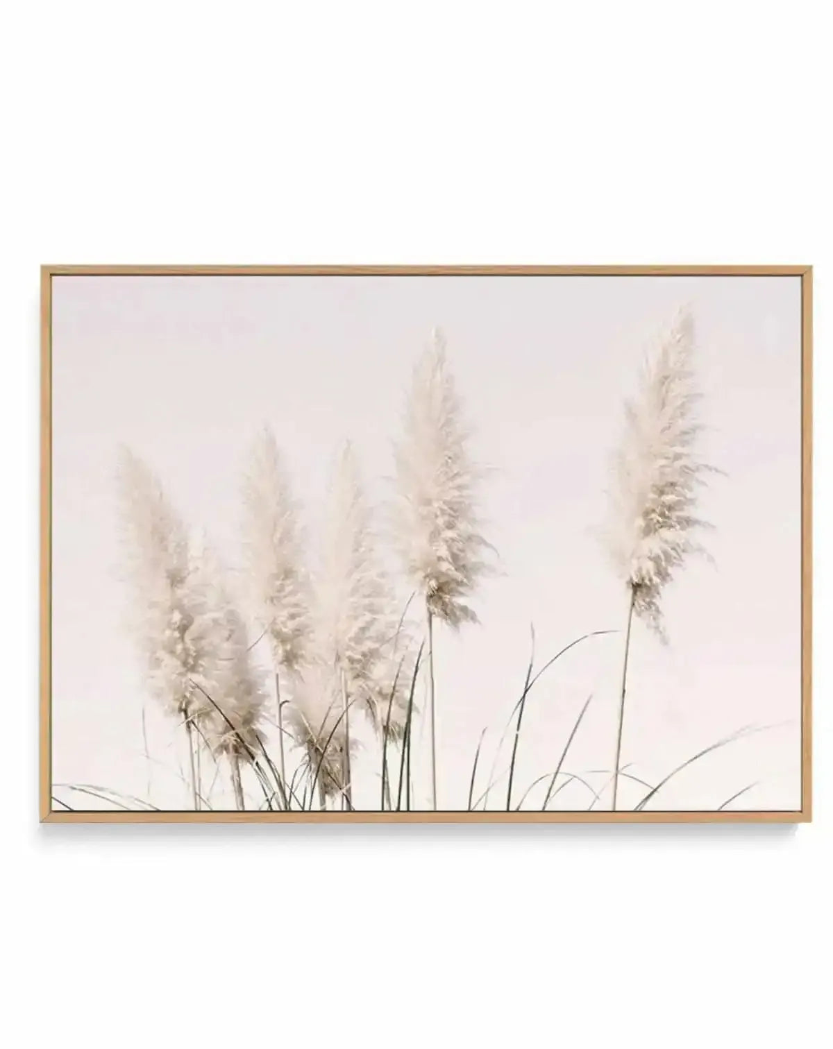 Nude Pampas | LS | Framed Canvas Art Print from Olive et Oriel where you can shop wallpaper and artworks online