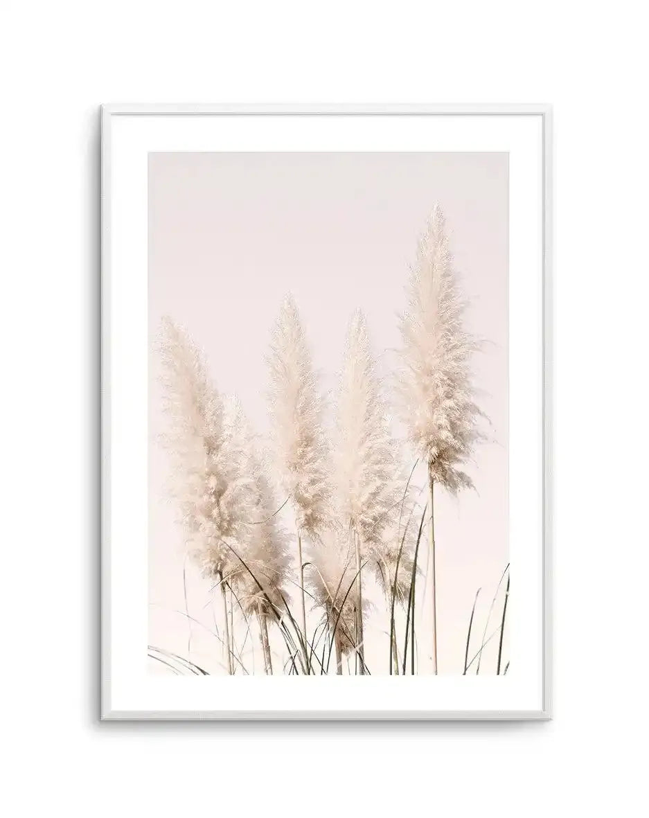 Nude Pampas I Art Print-PRINT-Olive et Oriel-Olive et Oriel-A4 | 8.3" x 11.7" | 21 x 29.7cm-Unframed Art Print-With White Border-Buy-Australian-Art-Prints-Online-with-Olive-et-Oriel-Your-Artwork-Specialists-Austrailia-Decorate-With-Coastal-Photo-Wall-Art-Prints-From-Our-Beach-House-Artwork-Collection-Fine-Poster-and-Framed-Artwork