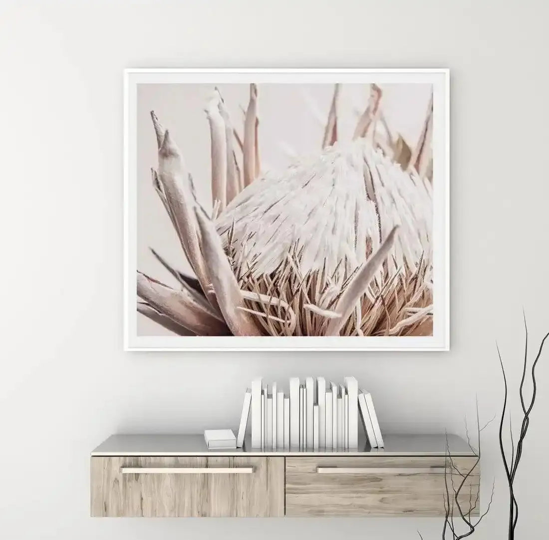 Nude Protea SQ Art Print-PRINT-Olive et Oriel-Olive et Oriel-Buy-Australian-Art-Prints-Online-with-Olive-et-Oriel-Your-Artwork-Specialists-Austrailia-Decorate-With-Coastal-Photo-Wall-Art-Prints-From-Our-Beach-House-Artwork-Collection-Fine-Poster-and-Framed-Artwork