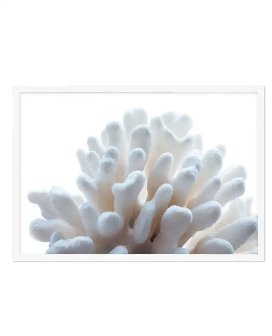 Golden Coral | LS Art Print-PRINT-Olive et Oriel-Olive et Oriel-A5 | 5.8" x 8.3" | 14.8 x 21cm-White-With White Border-Buy-Australian-Art-Prints-Online-with-Olive-et-Oriel-Your-Artwork-Specialists-Austrailia-Decorate-With-Coastal-Photo-Wall-Art-Prints-From-Our-Beach-House-Artwork-Collection-Fine-Poster-and-Framed-Artwork