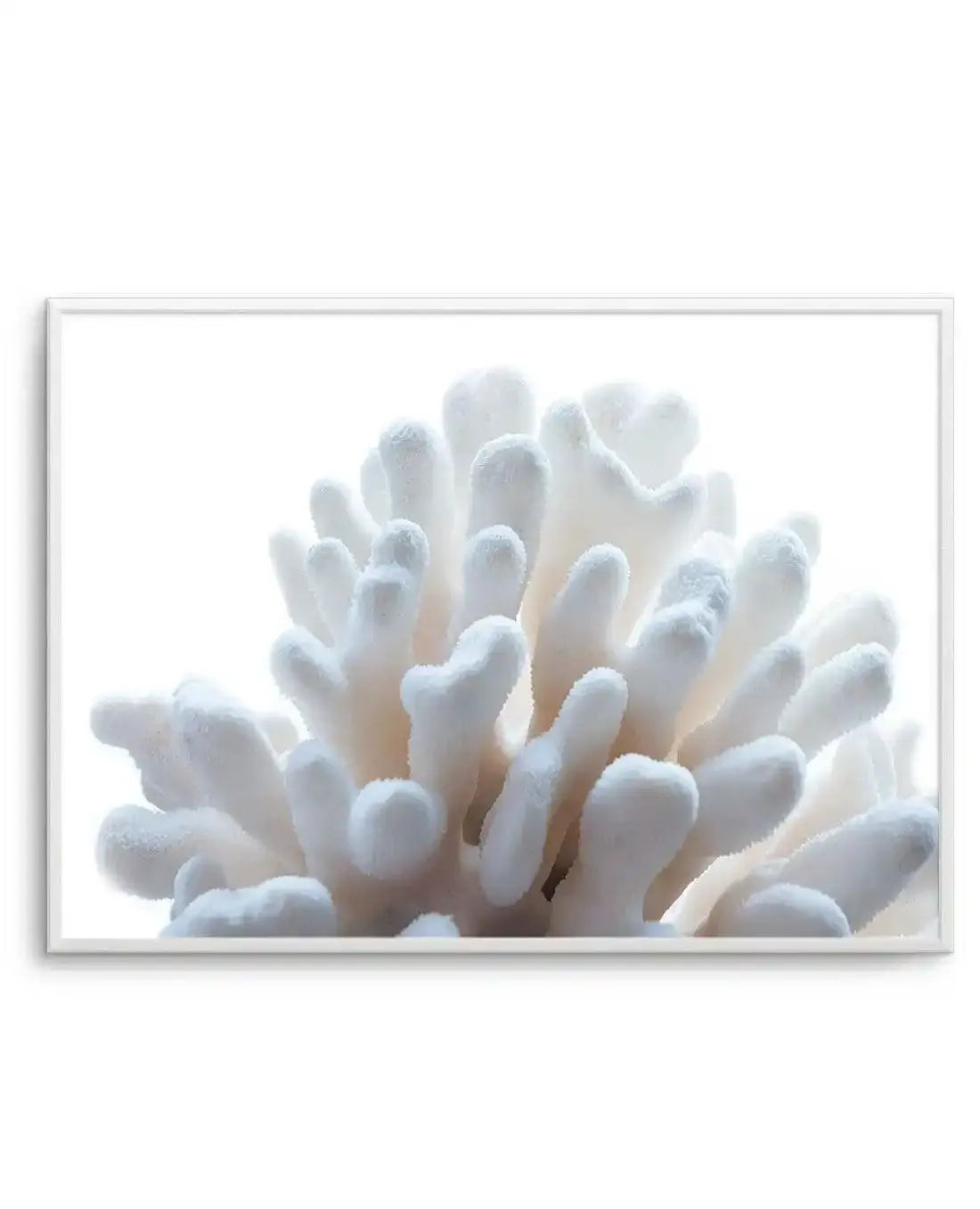 Golden Coral | LS Art Print-PRINT-Olive et Oriel-Olive et Oriel-A5 | 5.8" x 8.3" | 14.8 x 21cm-Unframed Art Print-With White Border-Buy-Australian-Art-Prints-Online-with-Olive-et-Oriel-Your-Artwork-Specialists-Austrailia-Decorate-With-Coastal-Photo-Wall-Art-Prints-From-Our-Beach-House-Artwork-Collection-Fine-Poster-and-Framed-Artwork