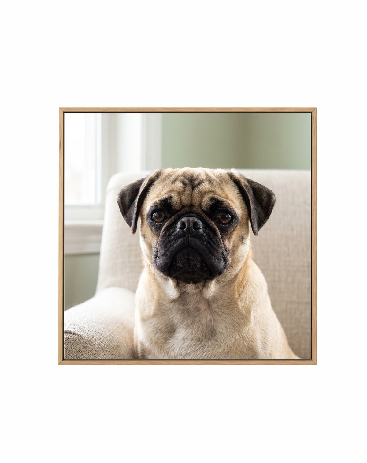 Olive et Oriel original photo-design asset photo-only-square-canvas-hero