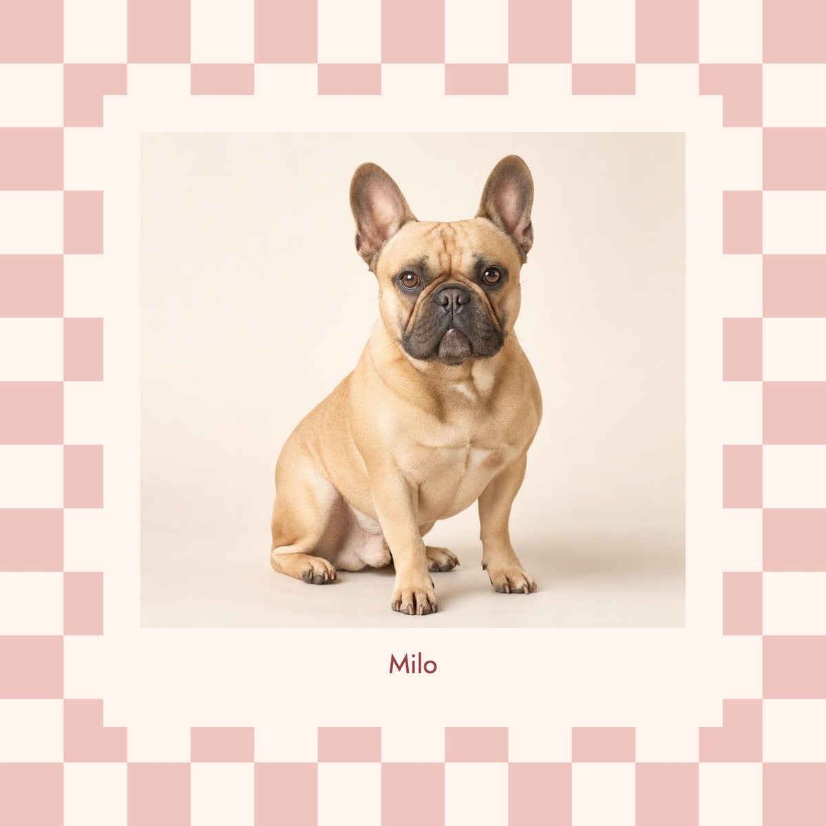 Playful Check Pet Photo Print in Cherry with the original beige French bulldog; example name Milo