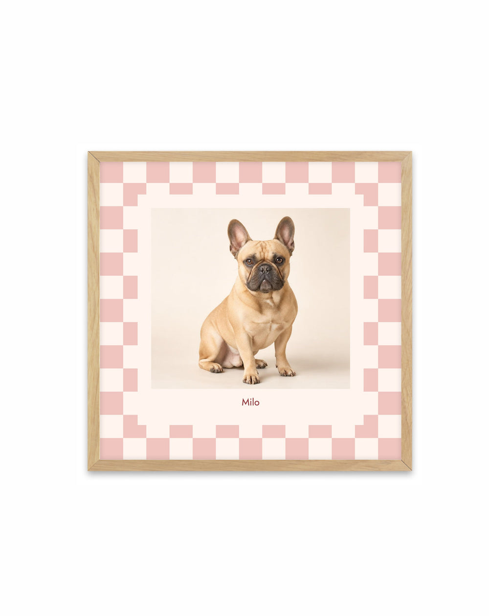 Playful Check Pet Photo Print
