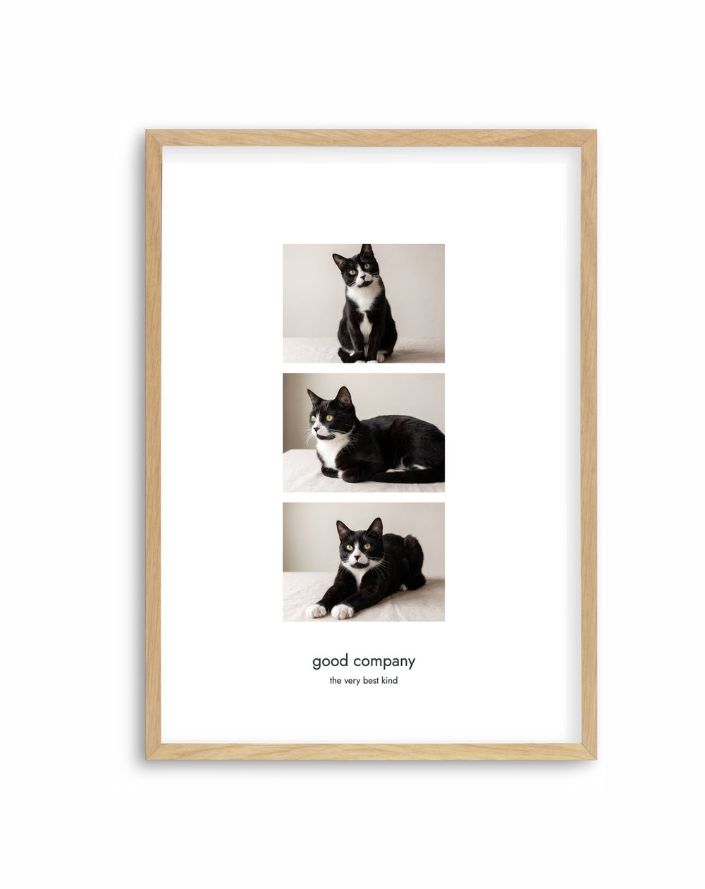 Three of a Kind | Custom Pet Photo Print