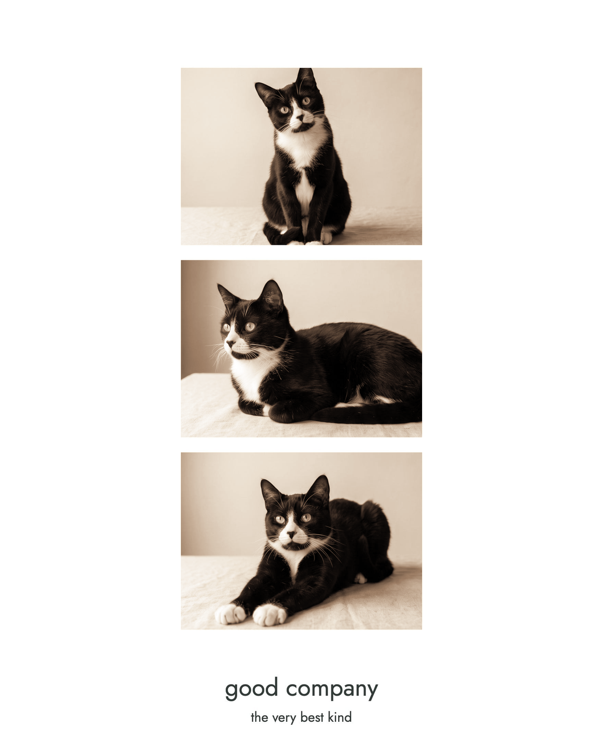 Three of a Kind photo collage shown in the Soft Walnut sepia finish