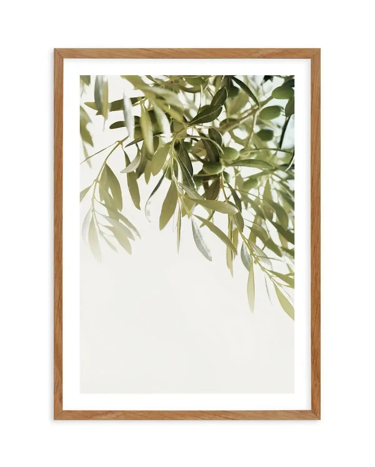 Olive Garden I Art Print-PRINT-Olive et Oriel-Olive et Oriel-50x70 cm | 19.6" x 27.5"-Walnut-With White Border-Buy-Australian-Art-Prints-Online-with-Olive-et-Oriel-Your-Artwork-Specialists-Austrailia-Decorate-With-Coastal-Photo-Wall-Art-Prints-From-Our-Beach-House-Artwork-Collection-Fine-Poster-and-Framed-Artwork