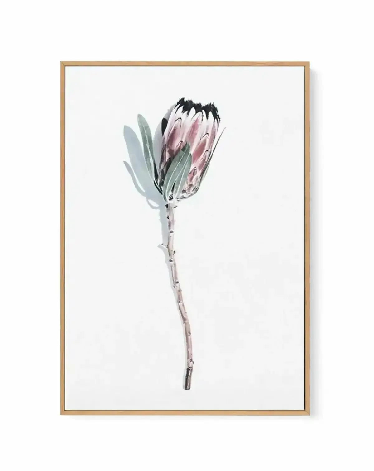 One Of A Kind | Framed Canvas Art Print from Olive et Oriel where you can shop wallpaper and artworks online