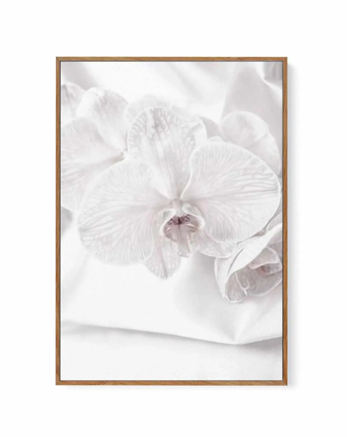 Orchids I | Framed Canvas from Olive et Oriel where you can shop wallpaper and artworks online
