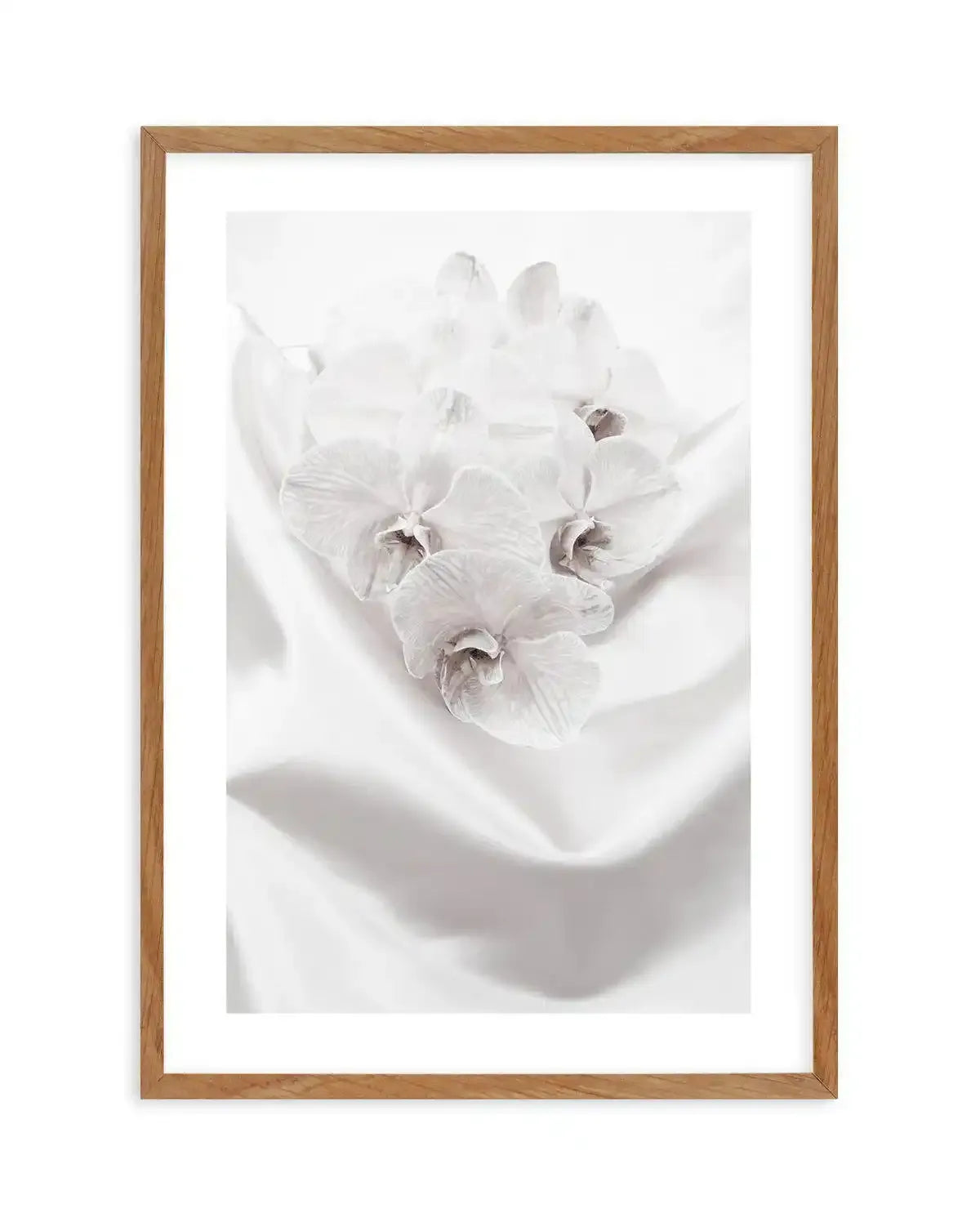 Orchids II Art Print-PRINT-Olive et Oriel-Olive et Oriel-50x70 cm | 19.6" x 27.5"-Walnut-With White Border-Buy-Australian-Art-Prints-Online-with-Olive-et-Oriel-Your-Artwork-Specialists-Austrailia-Decorate-With-Coastal-Photo-Wall-Art-Prints-From-Our-Beach-House-Artwork-Collection-Fine-Poster-and-Framed-Artwork