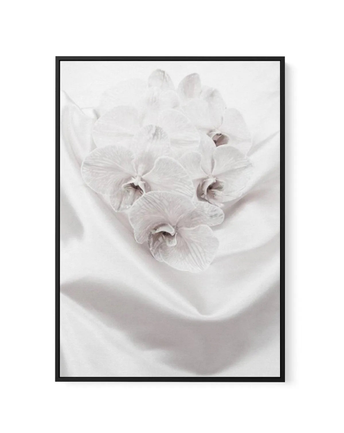 Orchids II | Framed Canvas-CANVAS-You can shop wall art online with Olive et Oriel for everything from abstract art to fun kids wall art. Our beautiful modern art prints and canvas art are available from large canvas prints to wall art paintings and our proudly Australian artwork collection offers only the highest quality framed large wall art and canvas art Australia - You can buy fashion photography prints or Hampton print posters and paintings on canvas from Olive et Oriel and have them deliv