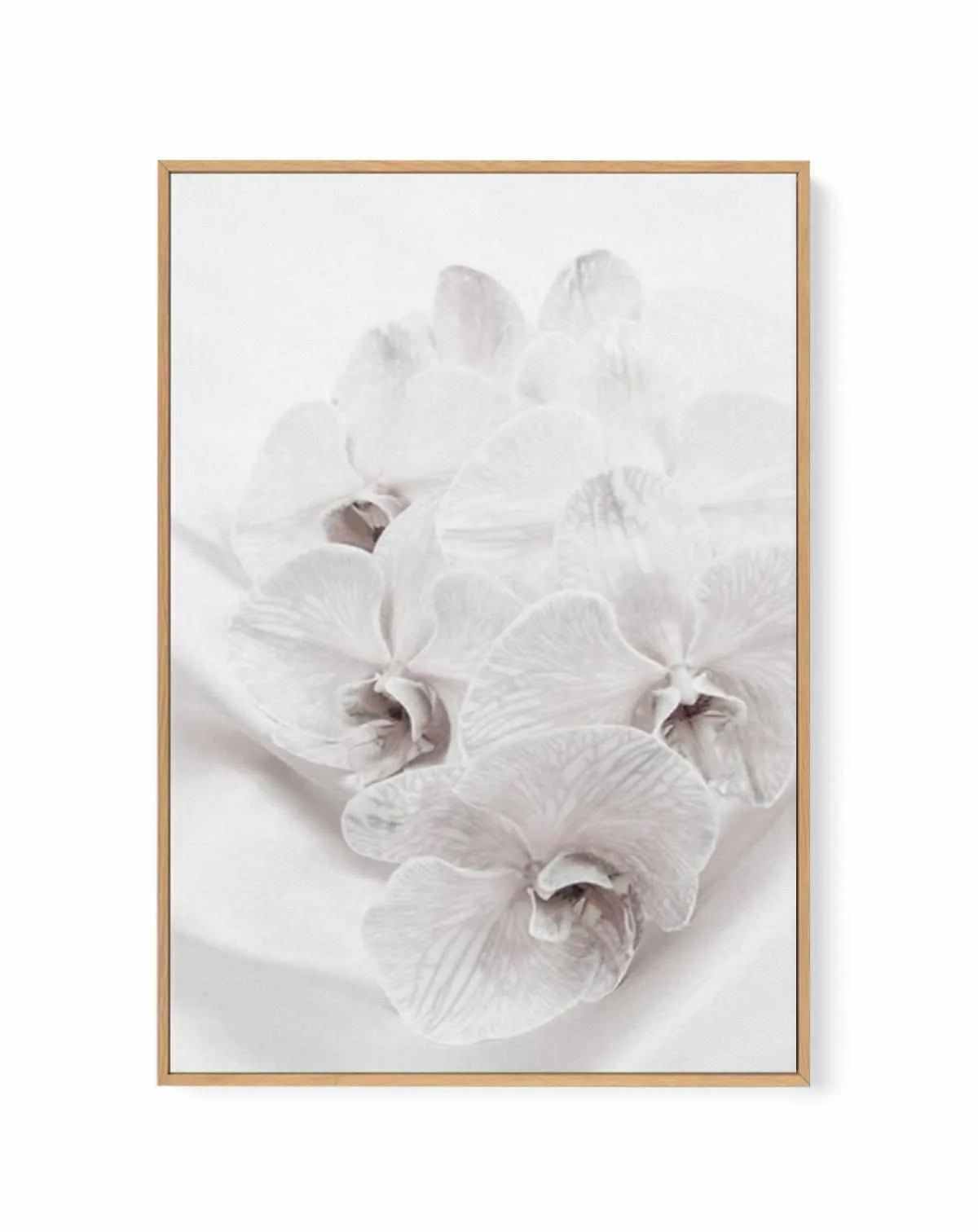 Orchids III | Framed Canvas from Olive et Oriel where you can shop wallpaper and artworks online