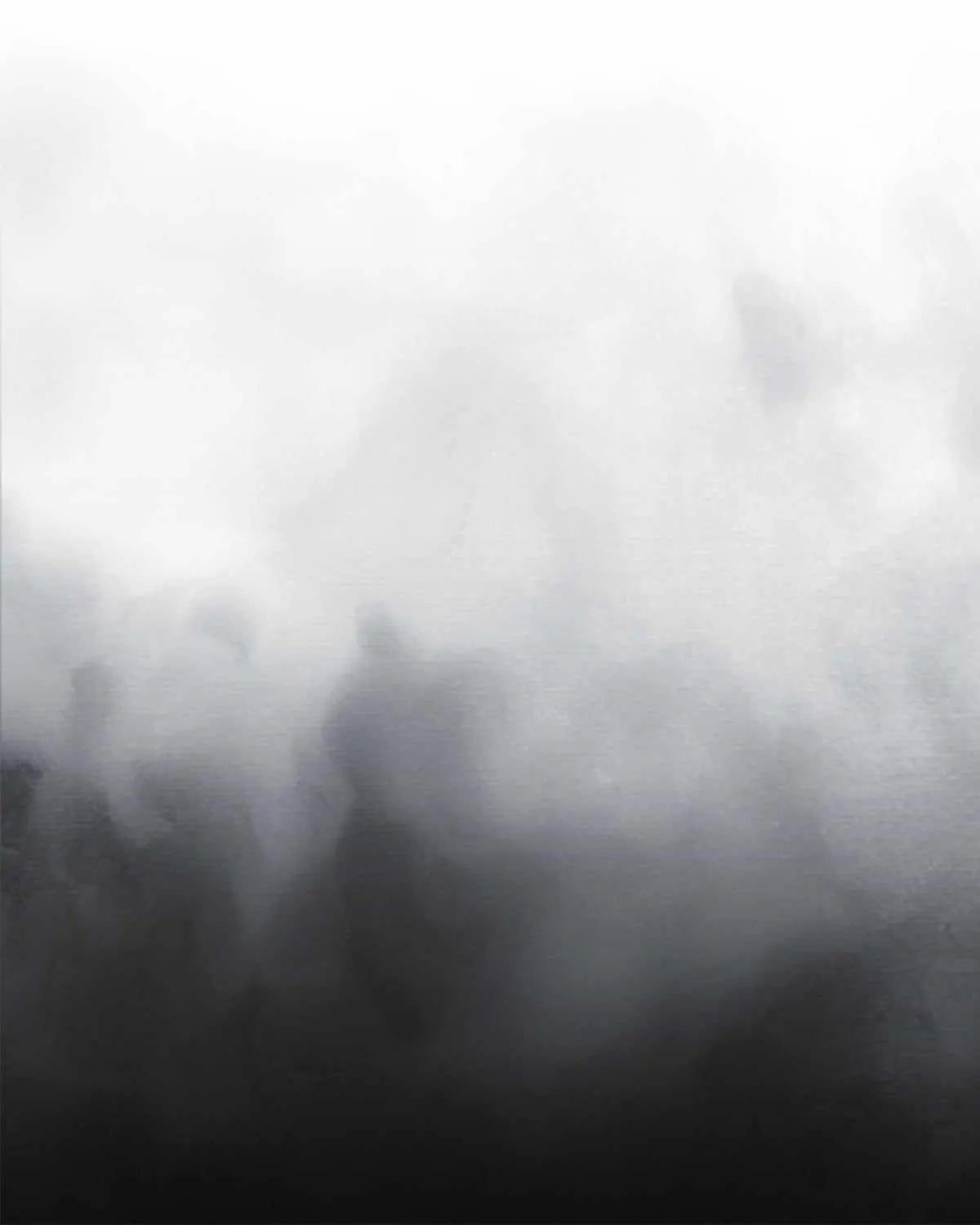 Almost Midnight in Charcoal Wallpaper-Wallpaper-Buy-Australian-Removable-Wallpaper-Now-In-Black-&-White-Wallpaper-Peel-And-Stick-Wallpaper-Online-At-Olive-et-Oriel-Custom-Made-Wallpapers-Wall-Papers-Decorate-Your-Bedroom-Living-Room-Kids-Room-or-Commercial-Interior