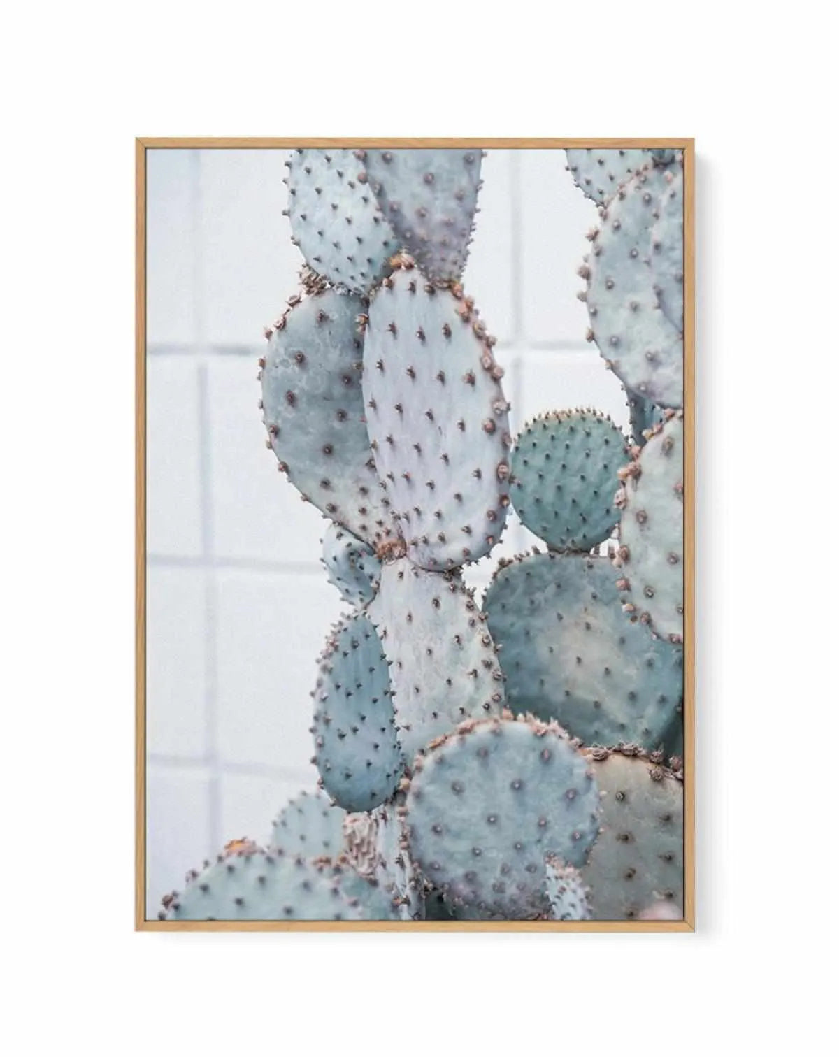 Pale Prickly Pear I | Framed Canvas from Olive et Oriel where you can shop wallpaper and artworks online