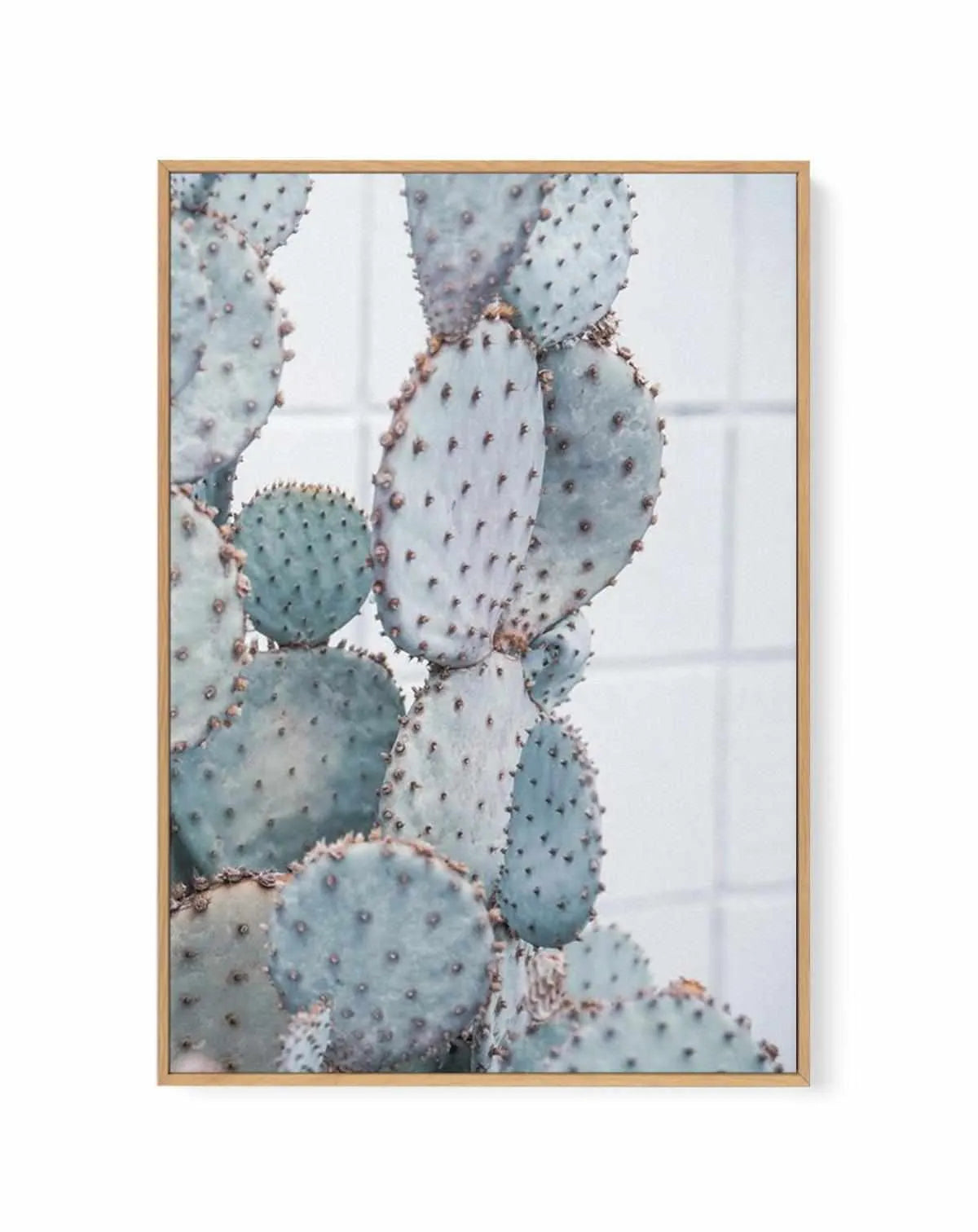 Pale Prickly Pear II | Framed Canvas from Olive et Oriel where you can shop wallpaper and artworks online