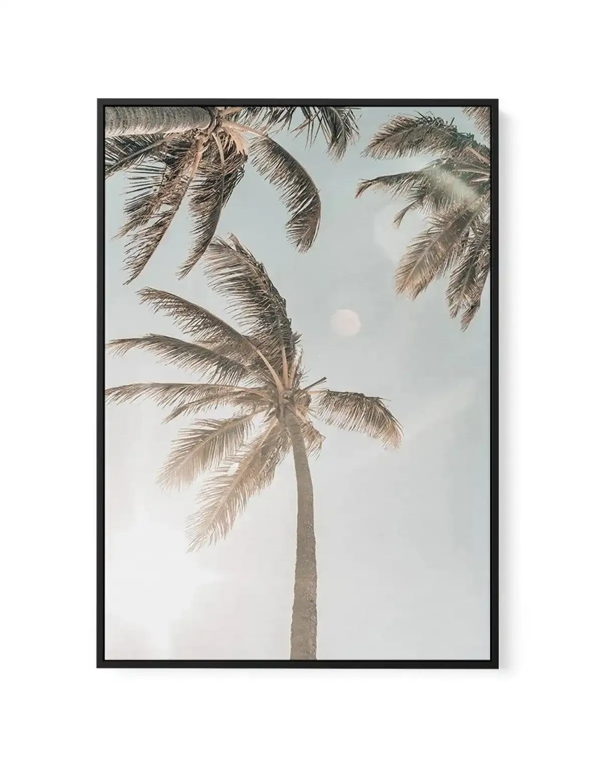 Palm Beach | Framed Canvas-CANVAS-You can shop wall art online with Olive et Oriel for everything from abstract art to fun kids wall art. Our beautiful modern art prints and canvas art are available from large canvas prints to wall art paintings and our proudly Australian artwork collection offers only the highest quality framed large wall art and canvas art Australia - You can buy fashion photography prints or Hampton print posters and paintings on canvas from Olive et Oriel and have them deliv