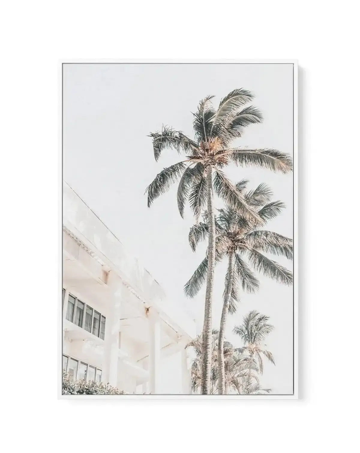 Palm Resort II | Framed Canvas-CANVAS-You can shop wall art online with Olive et Oriel for everything from abstract art to fun kids wall art. Our beautiful modern art prints and canvas art are available from large canvas prints to wall art paintings and our proudly Australian artwork collection offers only the highest quality framed large wall art and canvas art Australia - You can buy fashion photography prints or Hampton print posters and paintings on canvas from Olive et Oriel and have them d