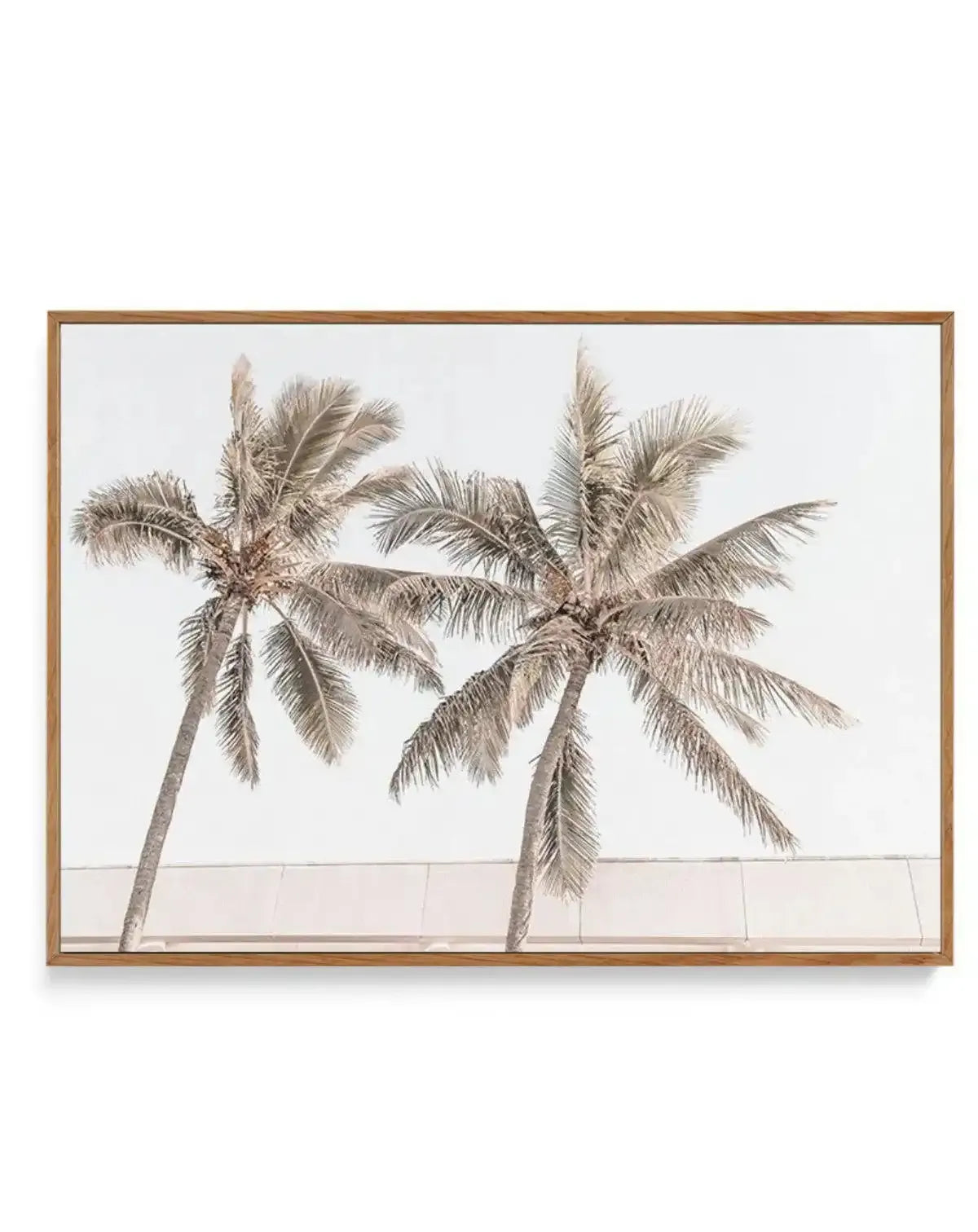 Palm Resort III | Framed Canvas-CANVAS-You can shop wall art online with Olive et Oriel for everything from abstract art to fun kids wall art. Our beautiful modern art prints and canvas art are available from large canvas prints to wall art paintings and our proudly Australian artwork collection offers only the highest quality framed large wall art and canvas art Australia - You can buy fashion photography prints or Hampton print posters and paintings on canvas from Olive et Oriel and have them 