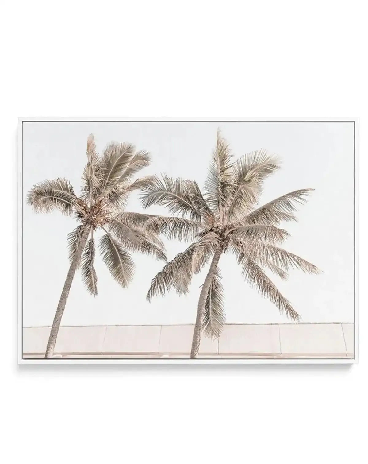 Palm Resort III | Framed Canvas-CANVAS-You can shop wall art online with Olive et Oriel for everything from abstract art to fun kids wall art. Our beautiful modern art prints and canvas art are available from large canvas prints to wall art paintings and our proudly Australian artwork collection offers only the highest quality framed large wall art and canvas art Australia - You can buy fashion photography prints or Hampton print posters and paintings on canvas from Olive et Oriel and have them 