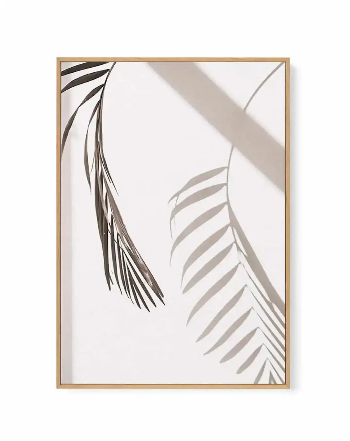 Palm Shadow II | Framed Canvas Art Print from Olive et Oriel where you can shop wallpaper and artworks online