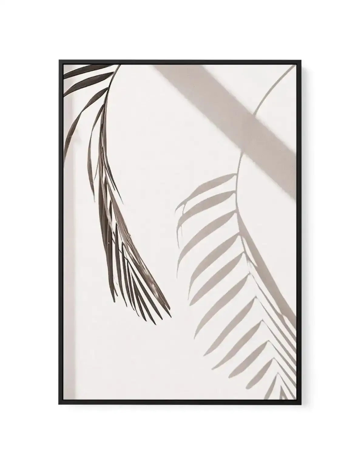 Palm Shadow II | Framed Canvas-CANVAS-You can shop wall art online with Olive et Oriel for everything from abstract art to fun kids wall art. Our beautiful modern art prints and canvas art are available from large canvas prints to wall art paintings and our proudly Australian artwork collection offers only the highest quality framed large wall art and canvas art Australia - You can buy fashion photography prints or Hampton print posters and paintings on canvas from Olive et Oriel and have them d