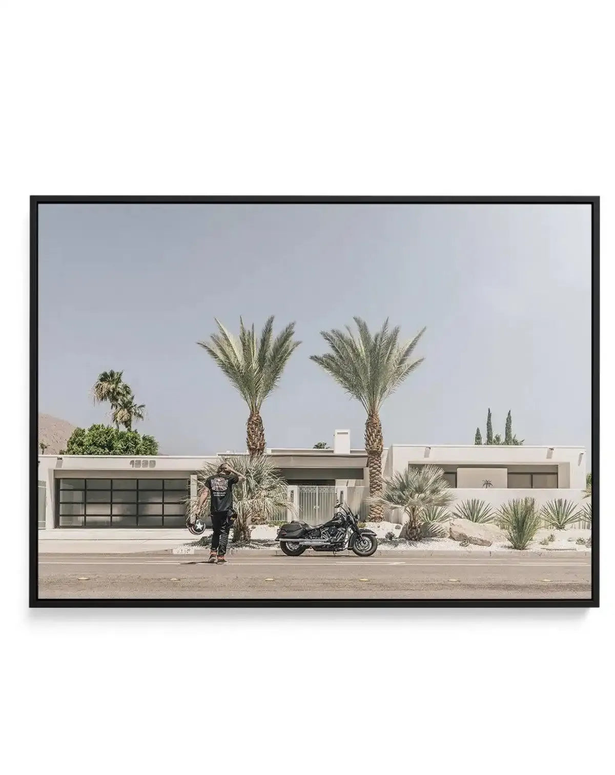 Palm Springs by Tim Harris | Framed Canvas-CANVAS-You can shop wall art online with Olive et Oriel for everything from abstract art to fun kids wall art. Our beautiful modern art prints and canvas art are available from large canvas prints to wall art paintings and our proudly Australian artwork collection offers only the highest quality framed large wall art and canvas art Australia - You can buy fashion photography prints or Hampton print posters and paintings on canvas from Olive et Oriel and