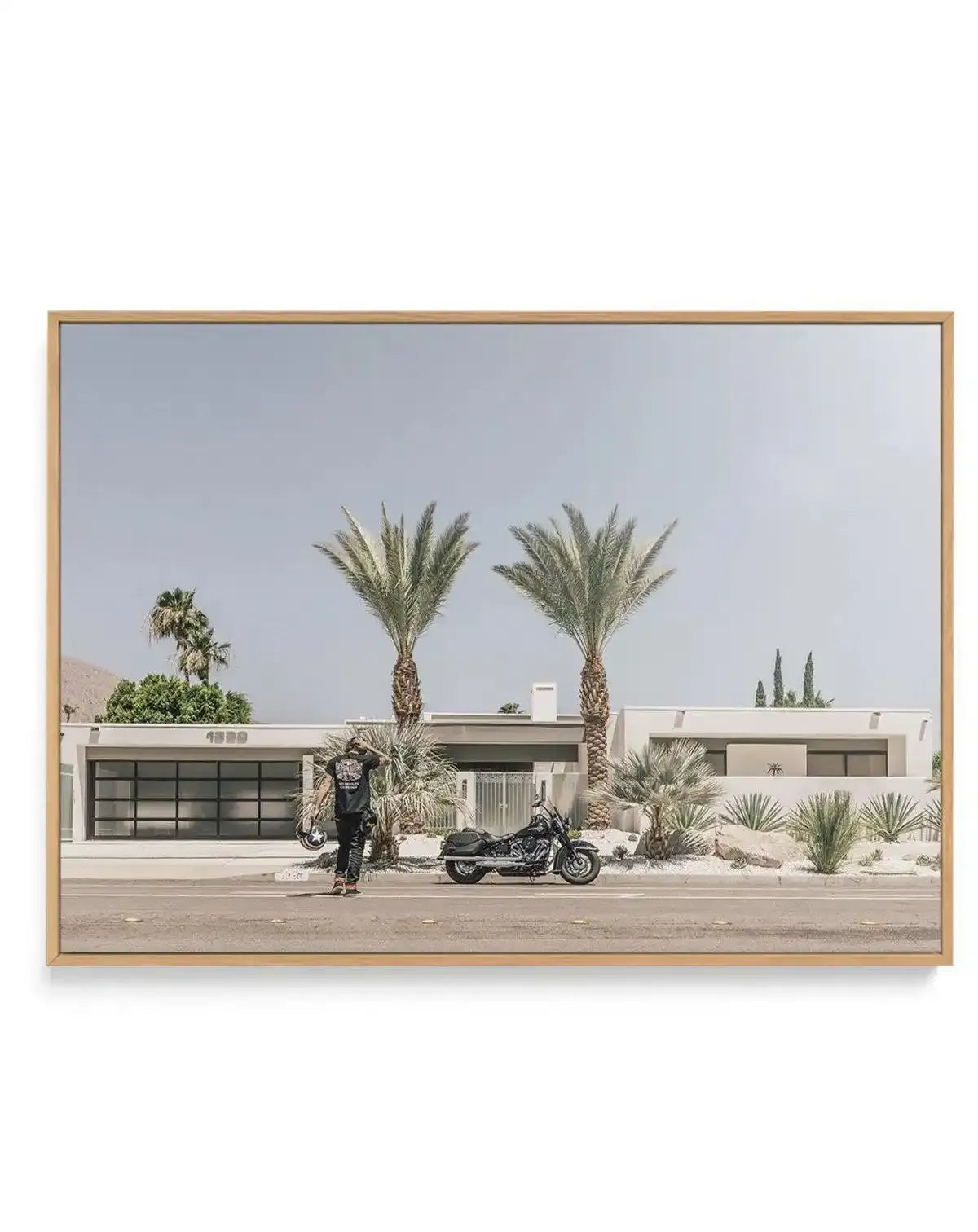 Palm Springs by Tim Harris | Framed Canvas-CANVAS-You can shop wall art online with Olive et Oriel for everything from abstract art to fun kids wall art. Our beautiful modern art prints and canvas art are available from large canvas prints to wall art paintings and our proudly Australian artwork collection offers only the highest quality framed large wall art and canvas art Australia - You can buy fashion photography prints or Hampton print posters and paintings on canvas from Olive et Oriel and