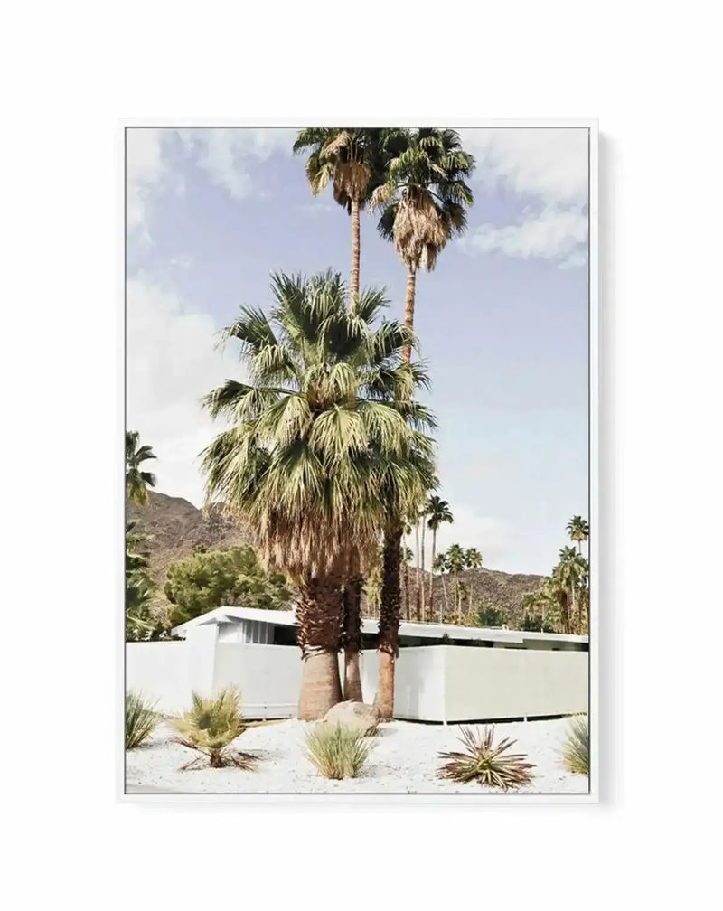 Framed canvas art print featuring a Mid-Century modern white building with curved walls nestled against desert mountains in Palm Springs. Tall fan palms with green fronds dominate the center foreground, flanked by smaller desert plants and sandy terrain. Clear blue sky with light clouds overhead. Distant palm trees and rocky hillsides in muted earth tones frame the composition. Photograph-style architectural imagery with natural daylight. White wooden frame with white border surrounding the print.