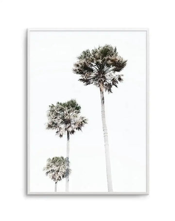 Black and white photographic art print featuring three palm trees of varying heights against a white background, displayed in a silver-gray frame. The tallest palm tree on the right has an elongated trunk with a full, feathery crown at the top. Two shorter palms flank it on the left, creating a minimalist botanical composition. The photograph captures fine detail in the frond textures and trunk bark with a clean, serene aesthetic.