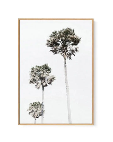 Palm Trees | Framed Canvas-CANVAS-You can shop wall art online with Olive et Oriel for everything from abstract art to fun kids wall art. Our beautiful modern art prints and canvas art are available from large canvas prints to wall art paintings and our proudly Australian artwork collection offers only the highest quality framed large wall art and canvas art Australia - You can buy fashion photography prints or Hampton print posters and paintings on canvas from Olive et Oriel and have them deliv