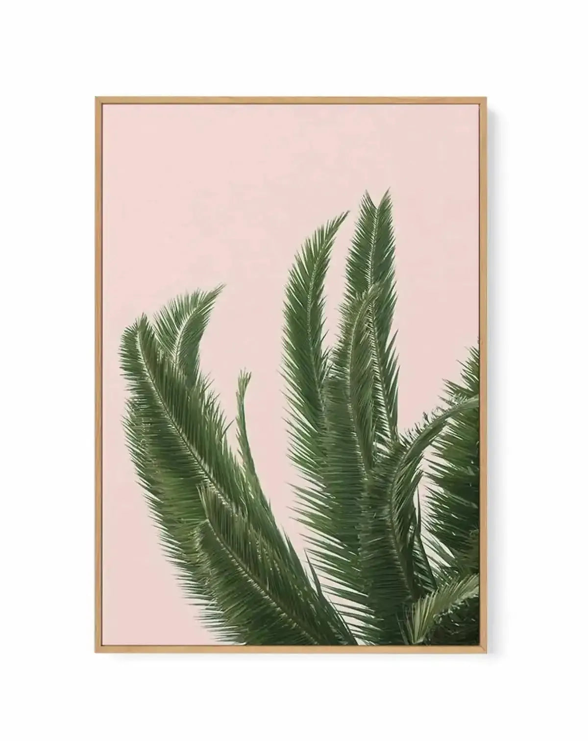 Palms on Pink | Framed Canvas Art Print from Olive et Oriel where you can shop wallpaper and artworks online