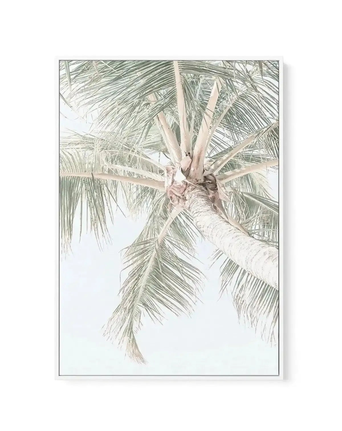 Palmy Days | Noosa | Framed Canvas-CANVAS-You can shop wall art online with Olive et Oriel for everything from abstract art to fun kids wall art. Our beautiful modern art prints and canvas art are available from large canvas prints to wall art paintings and our proudly Australian artwork collection offers only the highest quality framed large wall art and canvas art Australia - You can buy fashion photography prints or Hampton print posters and paintings on canvas from Olive et Oriel and have th