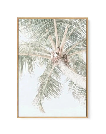 Palmy Days | Noosa | Framed Canvas-CANVAS-You can shop wall art online with Olive et Oriel for everything from abstract art to fun kids wall art. Our beautiful modern art prints and canvas art are available from large canvas prints to wall art paintings and our proudly Australian artwork collection offers only the highest quality framed large wall art and canvas art Australia - You can buy fashion photography prints or Hampton print posters and paintings on canvas from Olive et Oriel and have th