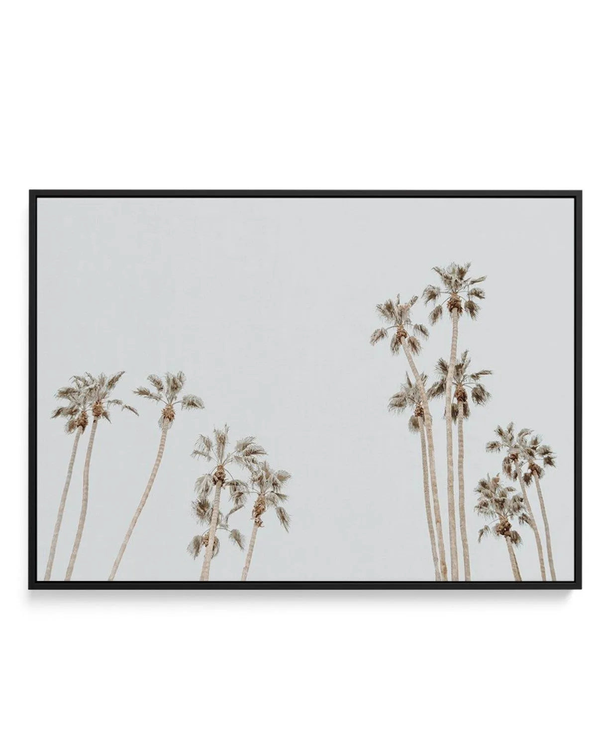 Palmy Springs | LS | Framed Canvas-CANVAS-You can shop wall art online with Olive et Oriel for everything from abstract art to fun kids wall art. Our beautiful modern art prints and canvas art are available from large canvas prints to wall art paintings and our proudly Australian artwork collection offers only the highest quality framed large wall art and canvas art Australia - You can buy fashion photography prints or Hampton print posters and paintings on canvas from Olive et Oriel and have th